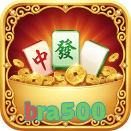 bra500